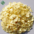 China grade A different specification dehydrated garlic flakes wholesale